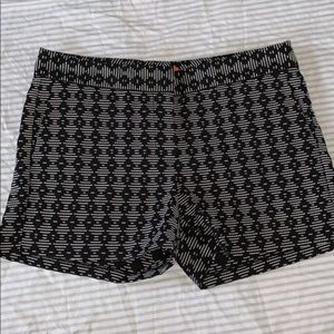 Joe Fresh Shorts